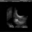 Sarah @ 28 Weeks 3D (1).jpg