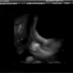 Sarah @ 28 Weeks 3D (4).jpg
