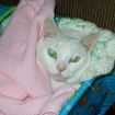 2007-01-24 (005).jpg