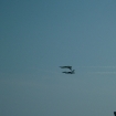 2007-05-12 (159).jpg