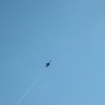 2007-05-12 (178).jpg