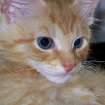2007-08-17 (040).jpg