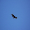 2007-10-13 (066).jpg