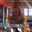 2007-12-09 (036).jpg