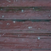 2008-07-27 (006).jpg