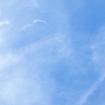 2008-08-27 (012).jpg