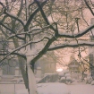 2009-03-02 (006).jpg