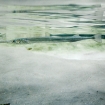 2009-07-08 (032)