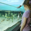 2009-07-08 (035)