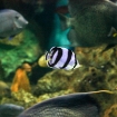 2009-07-08 (049)