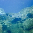 2009-07-08 (055)