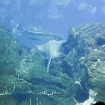 2009-07-08 (060)