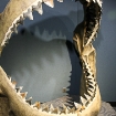 2009-07-08 (064)