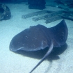 2009-07-08 (069)