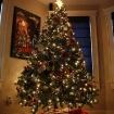 2009-12-25 (013)
