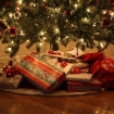 2009-12-25 (014)