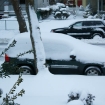 2010-02-06 (011)