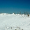 2010-02-12 (068)