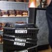 2010-08-03 (011)