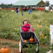 2010-10-03 (008)