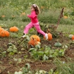 2010-10-03 (031)
