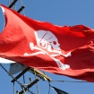 2010-10-17 (029)