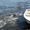 2010-10-17 (049)