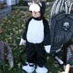 2010-10-31 (001)