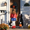 2010-10-31 (028)