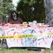 2010-10-31 (035)