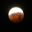 2010-12-21 (015)-1