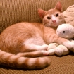 2011-01-03 (001)