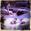 2011-01-12 (001)