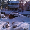 2011-01-12 (002)