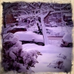 2011-01-27 (001)