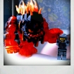2011-01-29 (003)