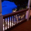 2011-01-29 (004)-2