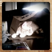 2011-02-27 (004)