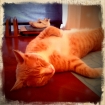 2011-07-02 (001)