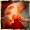 2011-07-02 (002)