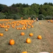 2011-10-09 (001)