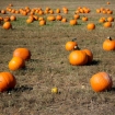 2011-10-09 (007)