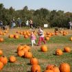 2011-10-09 (054)