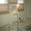 2011-11-28 (001)