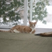 2012-01-21 (014)
