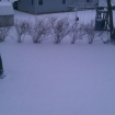 2012-01-21 (089)