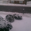 2012-01-21 (090)