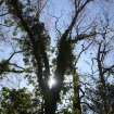 2012-04-05 (018)