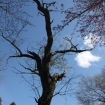 2012-04-05 (048)