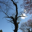 2012-04-05 (053)